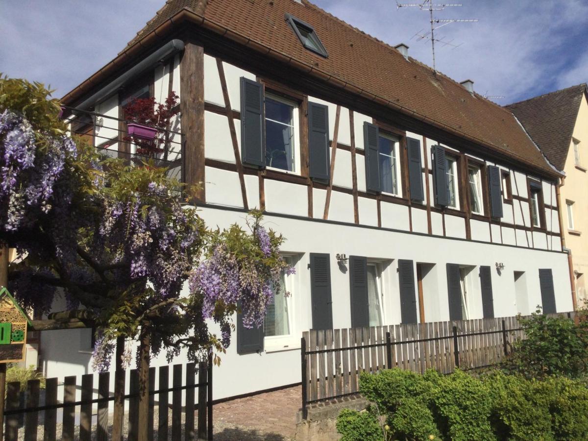 Gite Cote Jardin 잉어스하임 외부 사진